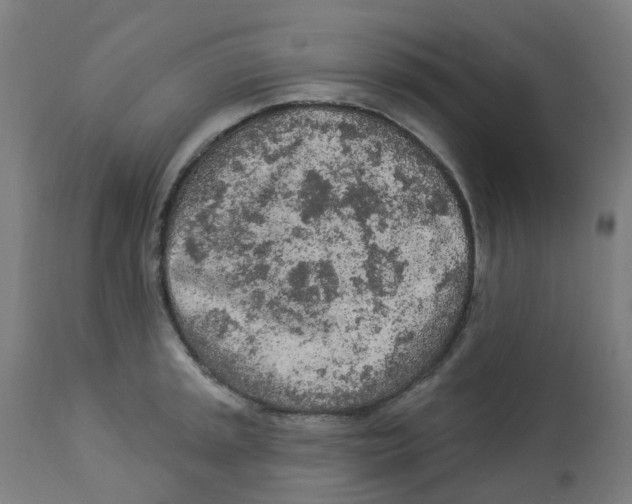 X0000112781045200909171332