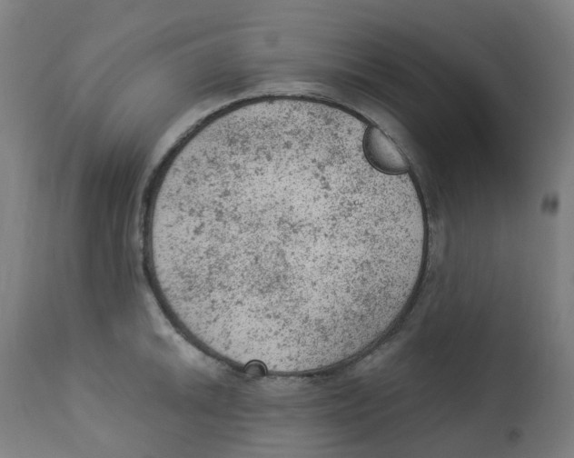 X0000112781046200909171332