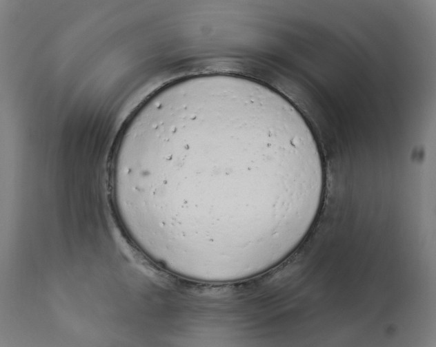 X0000112781047200909171332