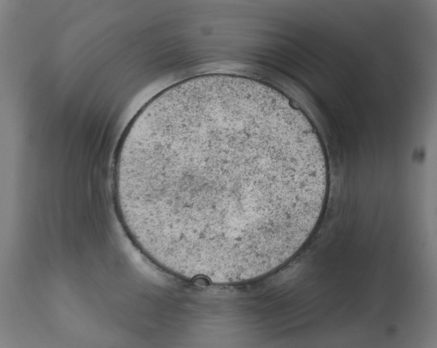 X0000112781050200909171332