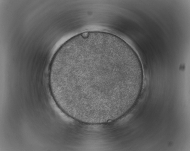 X0000112781053200909171332