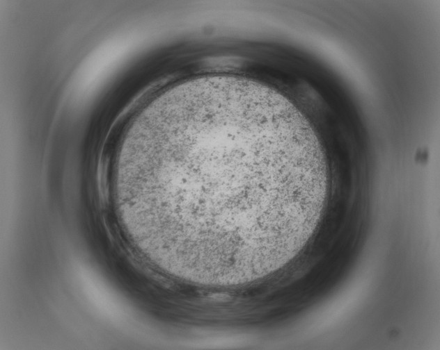 X0000112781054200909171332