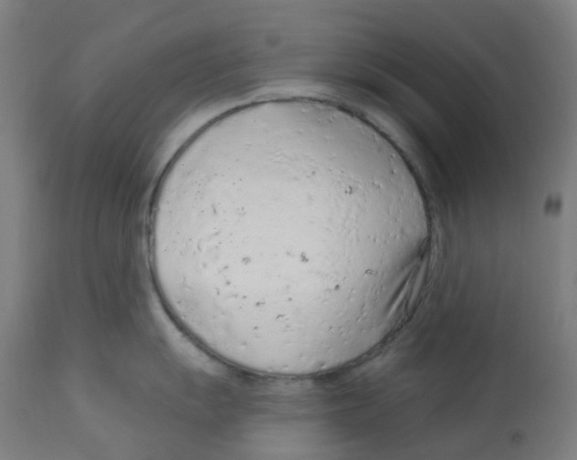 X0000112781055200909171332