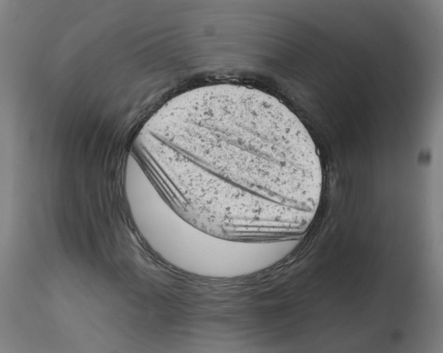 X0000112781060200909171331