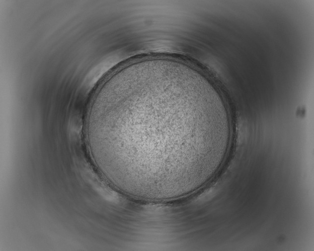 X0000112781065200909171331