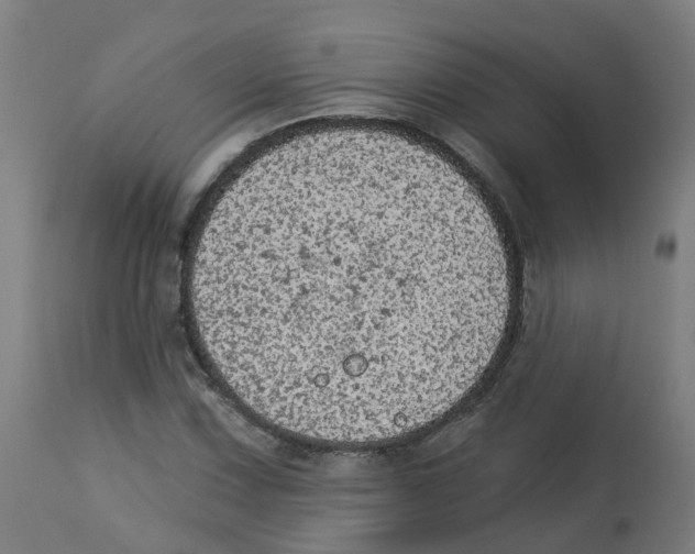 X0000112781067200909171331