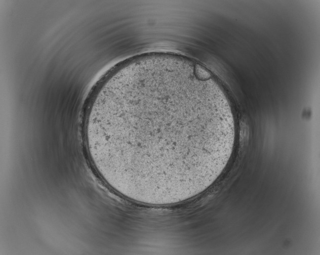 X0000112781068200909171331