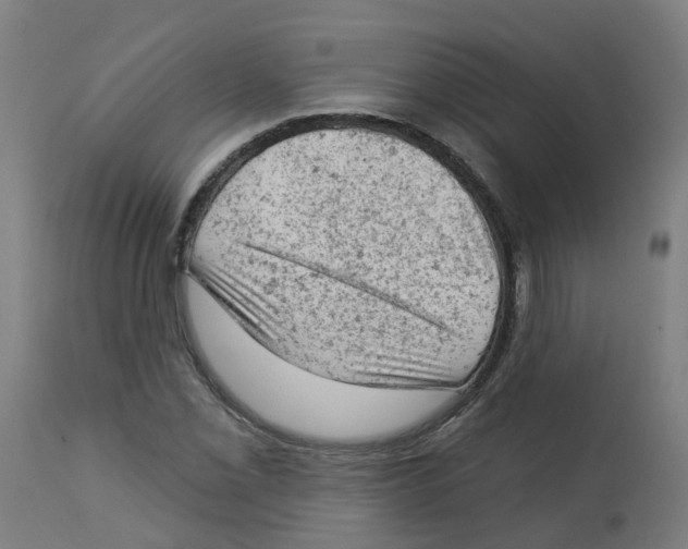 X0000112781069200909171331