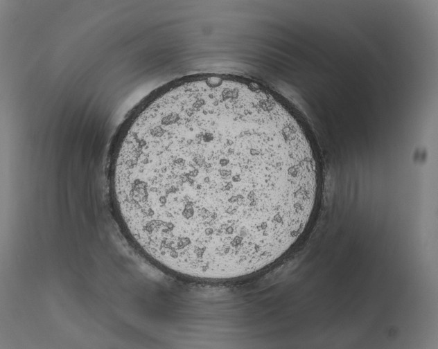 X0000112781071200909171331