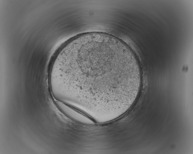 X0000112781072200909171331