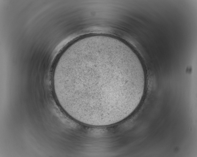 X0000112781074200909171331