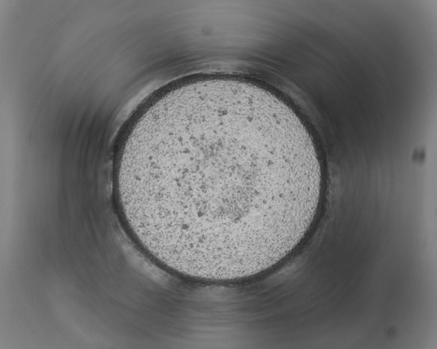 X0000112781075200909171331