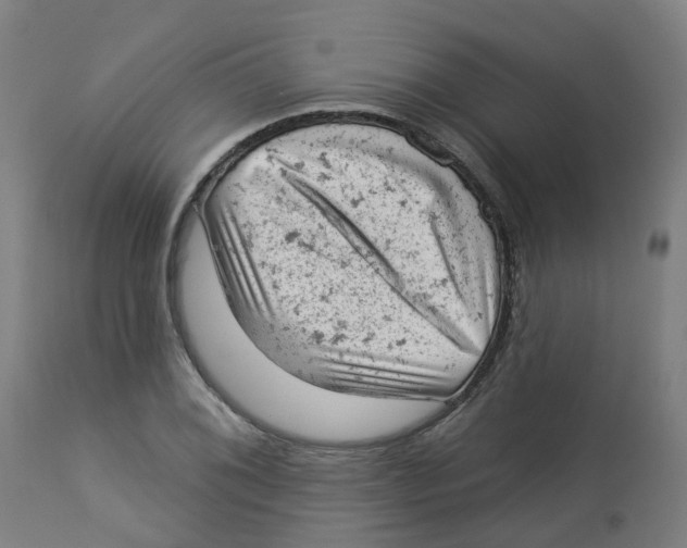 X0000112781076200909171331