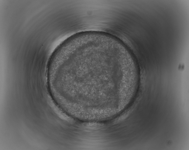 X0000112781077200909171331