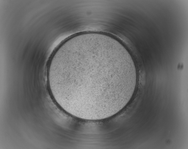 X0000112781078200909171331