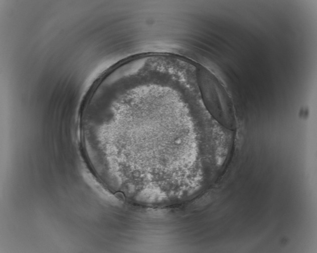 X0000112781080200909171331