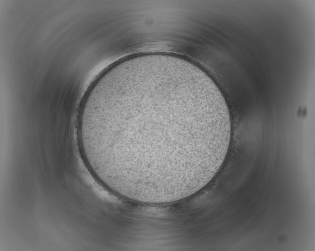 X0000112781086200909171331