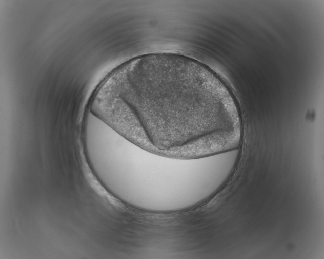 X0000112781088200909171331