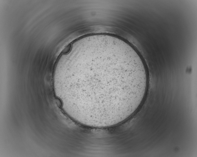 X0000112781089200909171331