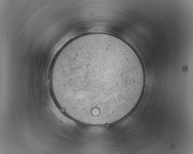 X0000112781090200909171331