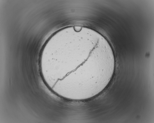 X0000112781091200909171331