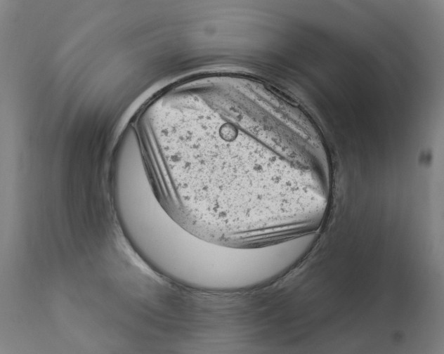 X0000112781092200909171331