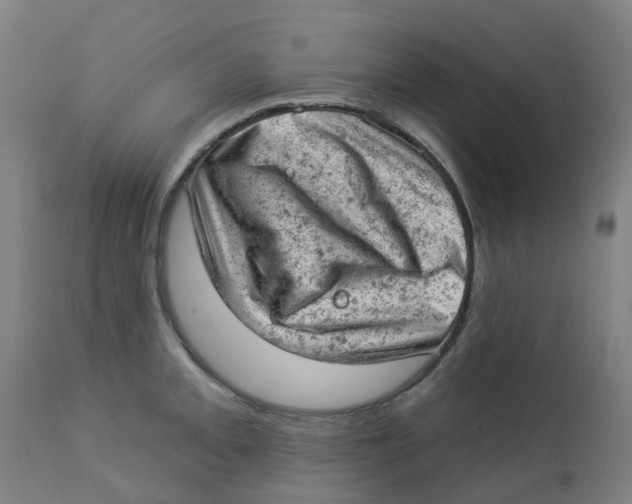 X0000112781093200909171331