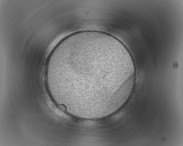 X0000112781094200909171331