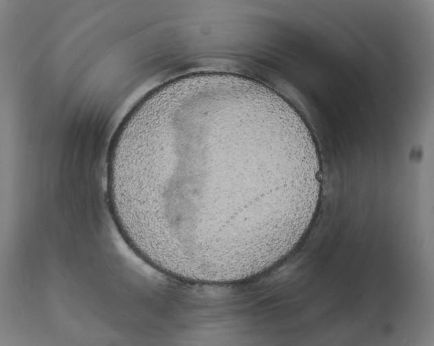 X0000112781095200909171331