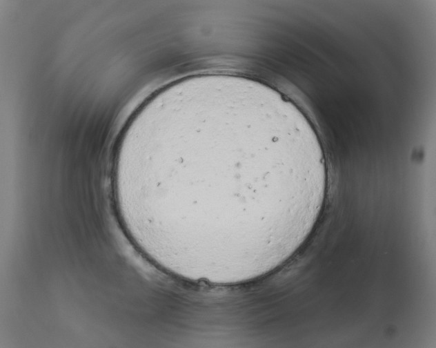 X0000112781099200909171331