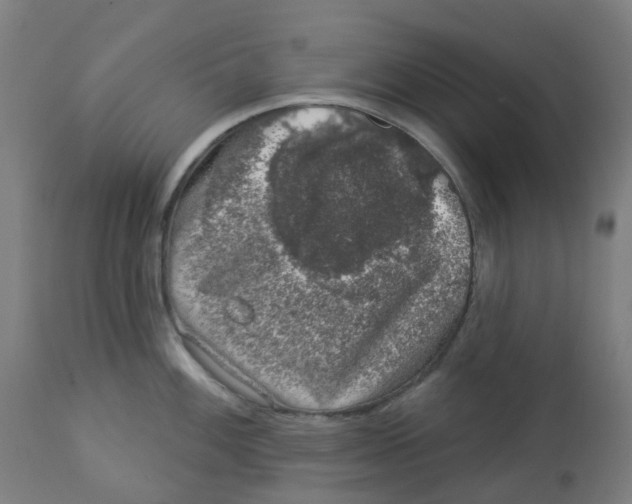 X0000112781100200909171331