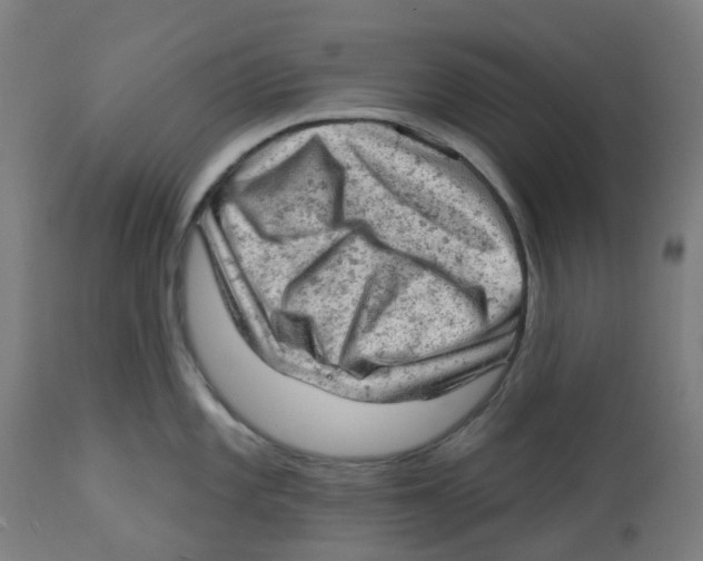 X0000112781101200909171331