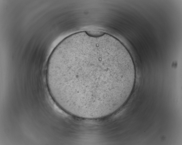 X0000112781102200909171331