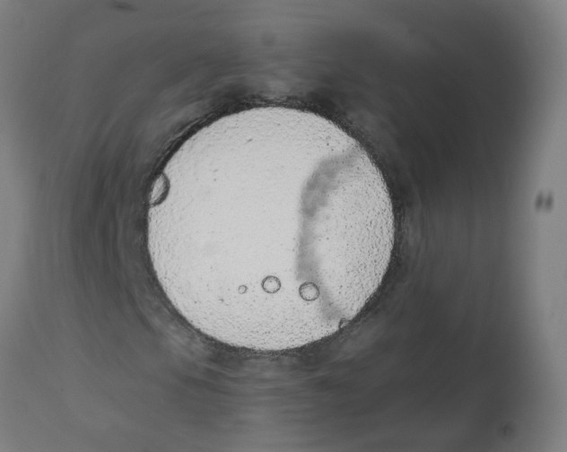 X0000112781105200909171330