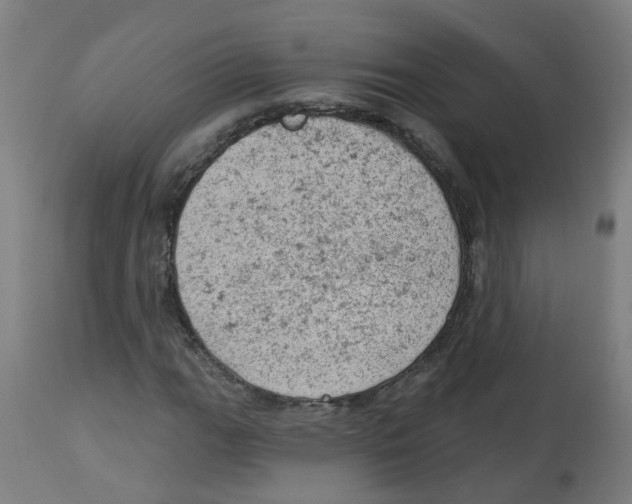 X0000112781111200909171330