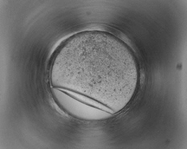 X0000112781116200909171330