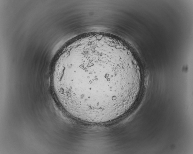 X0000112781117200909171330