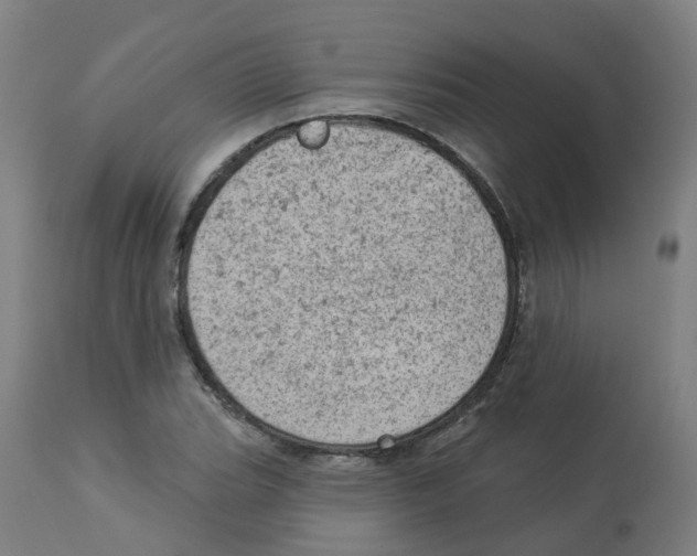 X0000112781119200909171330