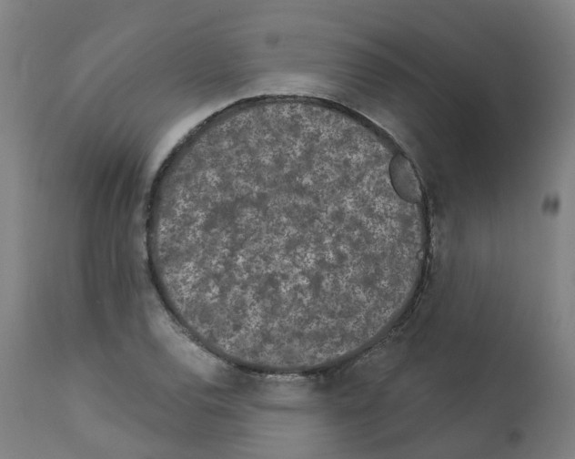 X0000112781120200909171330