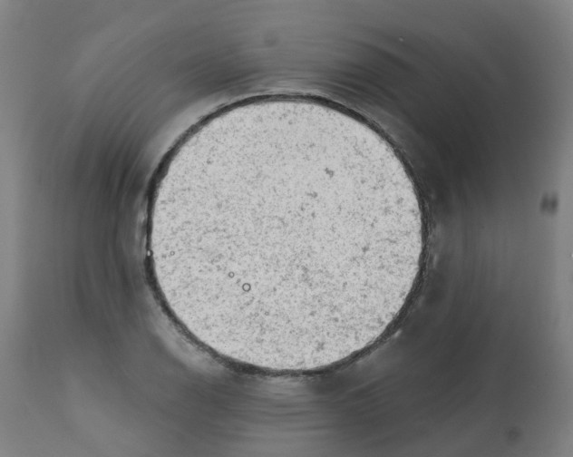 X0000112781126200909171330