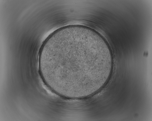 X0000112781127200909171330