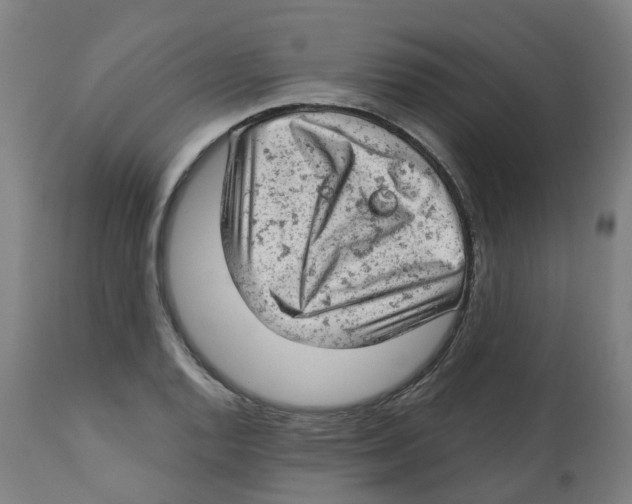 X0000112781128200909171330