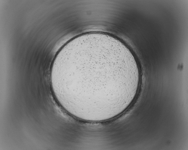 X0000112781129200909171330