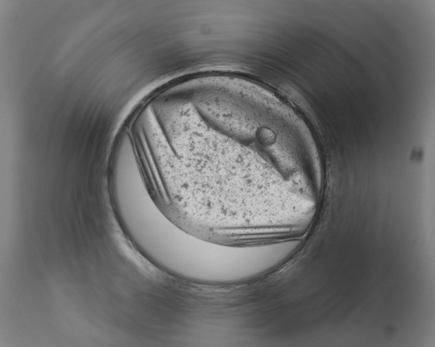 X0000112781132200909171330