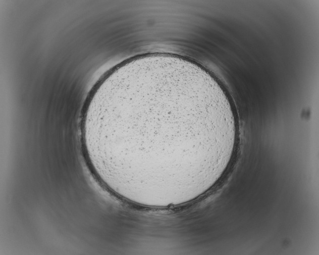 X0000112781133200909171330