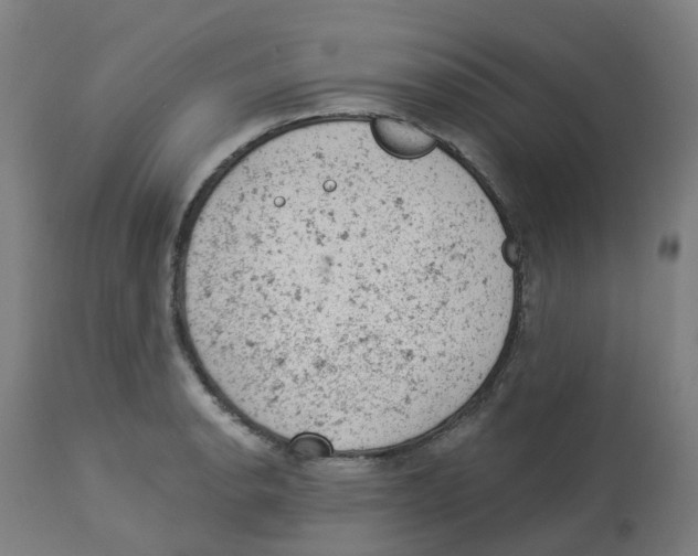 X0000112781134200909171330