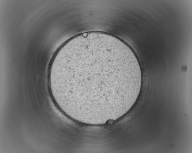 X0000112781135200909171330