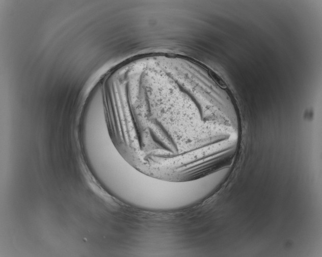 X0000112781136200909171330