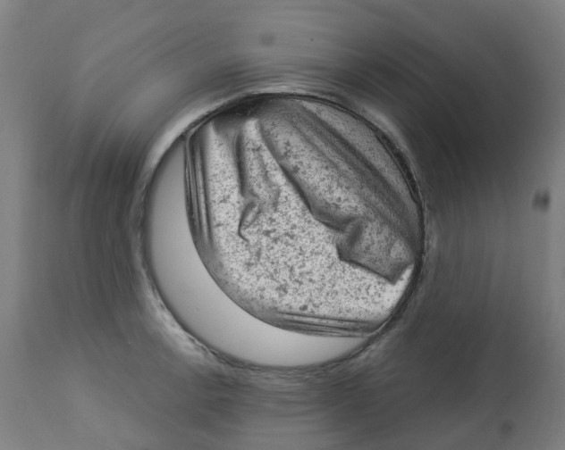 X0000112781138200909171330