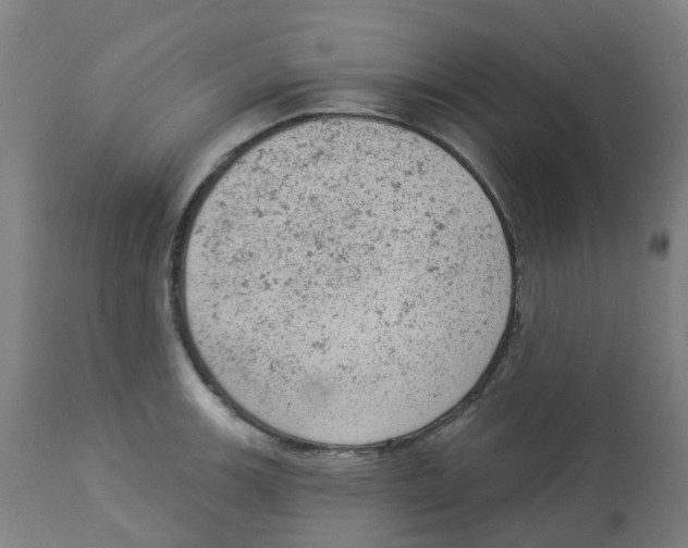 X0000112781139200909171330